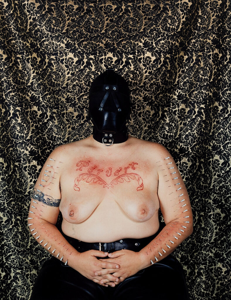 img-responsive col-centered Catherine Opie Pervert
