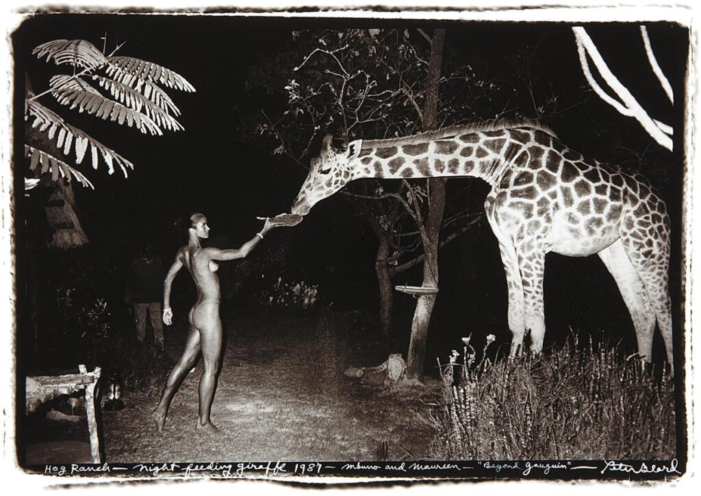 Beyond Gaugin - Peter Beard