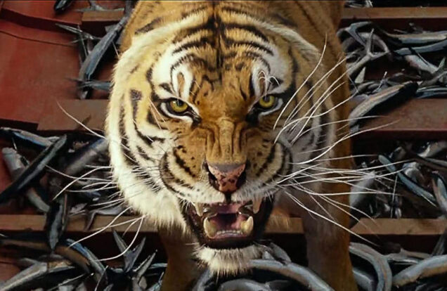 the life of pi tiger in boat