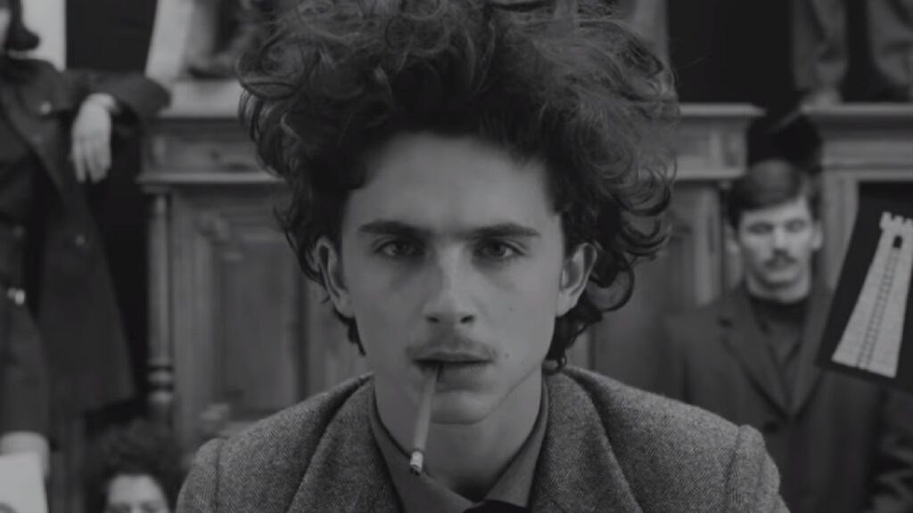 timothee chalamet in the french dispatch