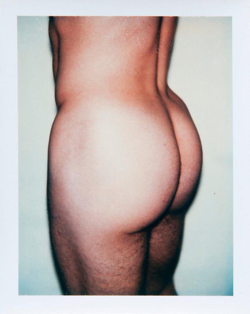 Sex Parts and Torso, 1977, Andy Warhol Photographs Fotogfafiska NYC and the Hedges Project