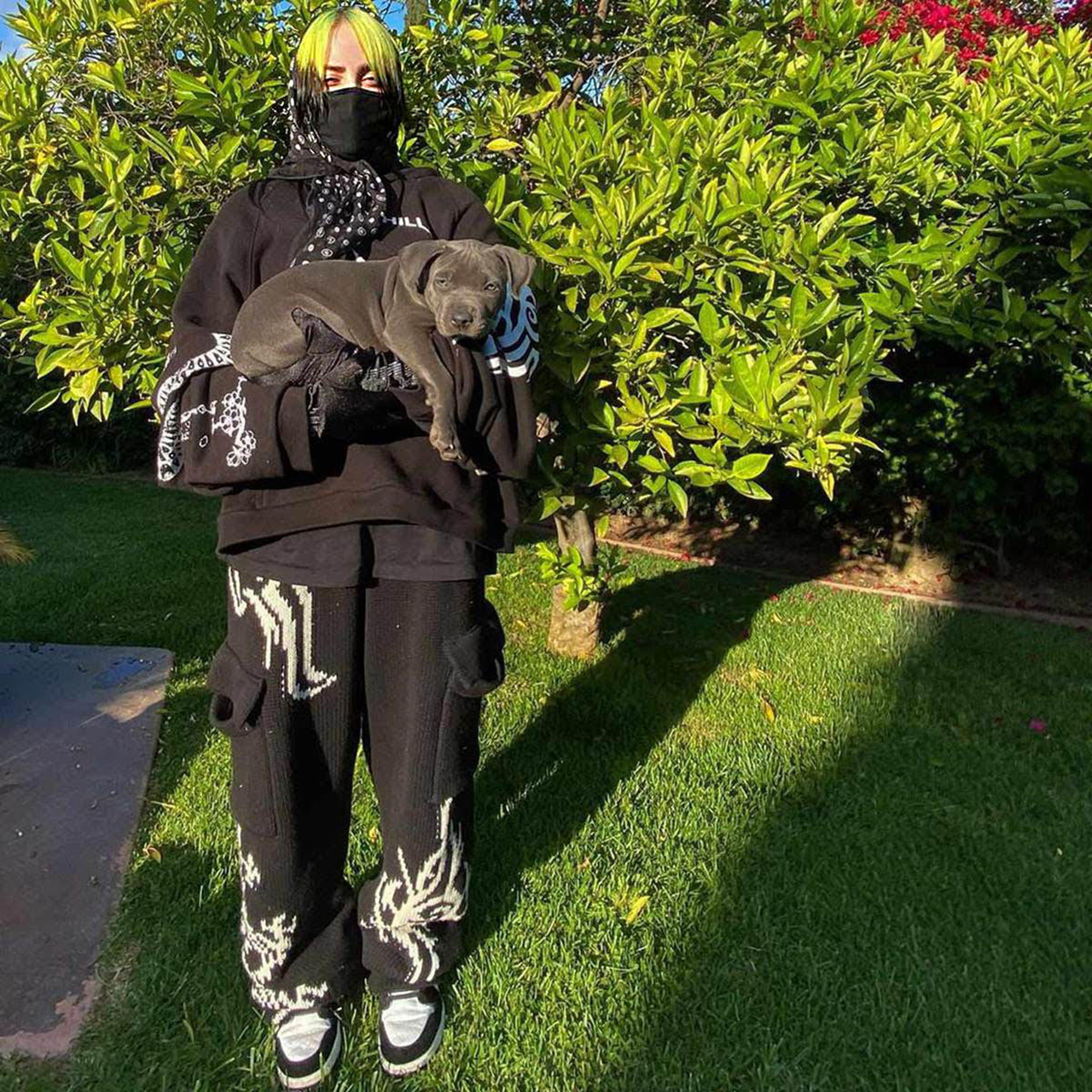 billie eilish and her dog