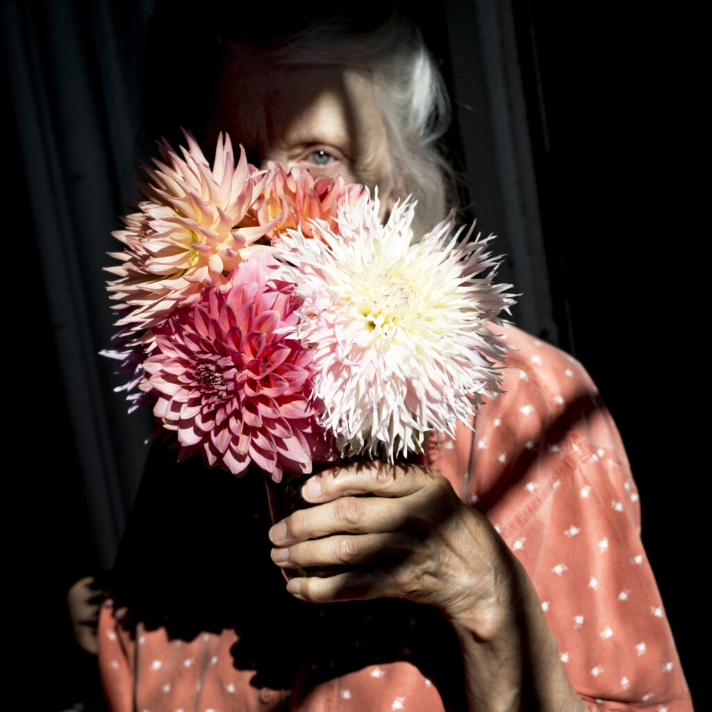 Dahlias, Cig Harvey