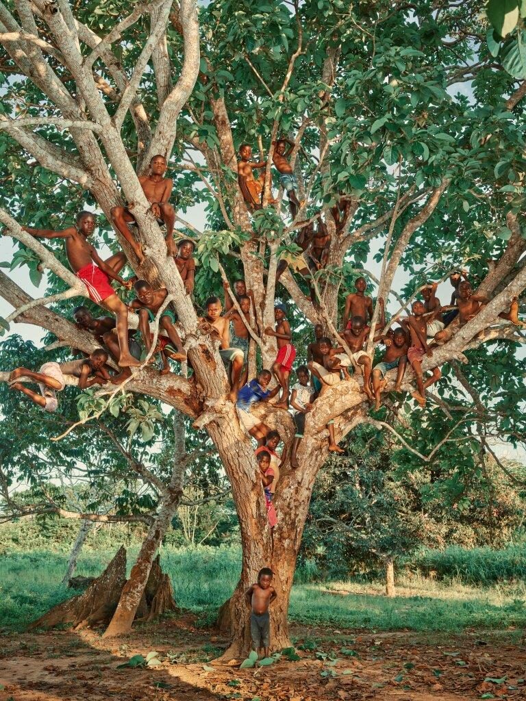 The Story Tree, Congo Tales, Pieter Henket