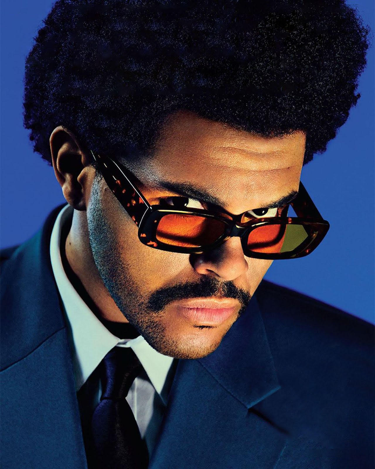 the weeknd portrait