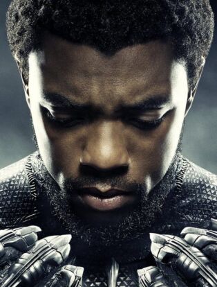 chadwick boseman black panther