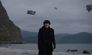 Timothee chalamet