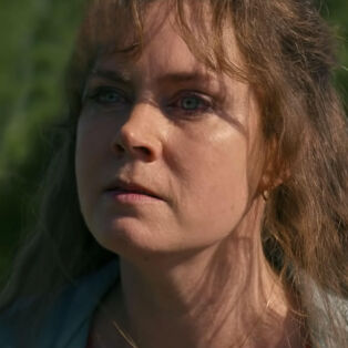 amy adams hillbilly elegy