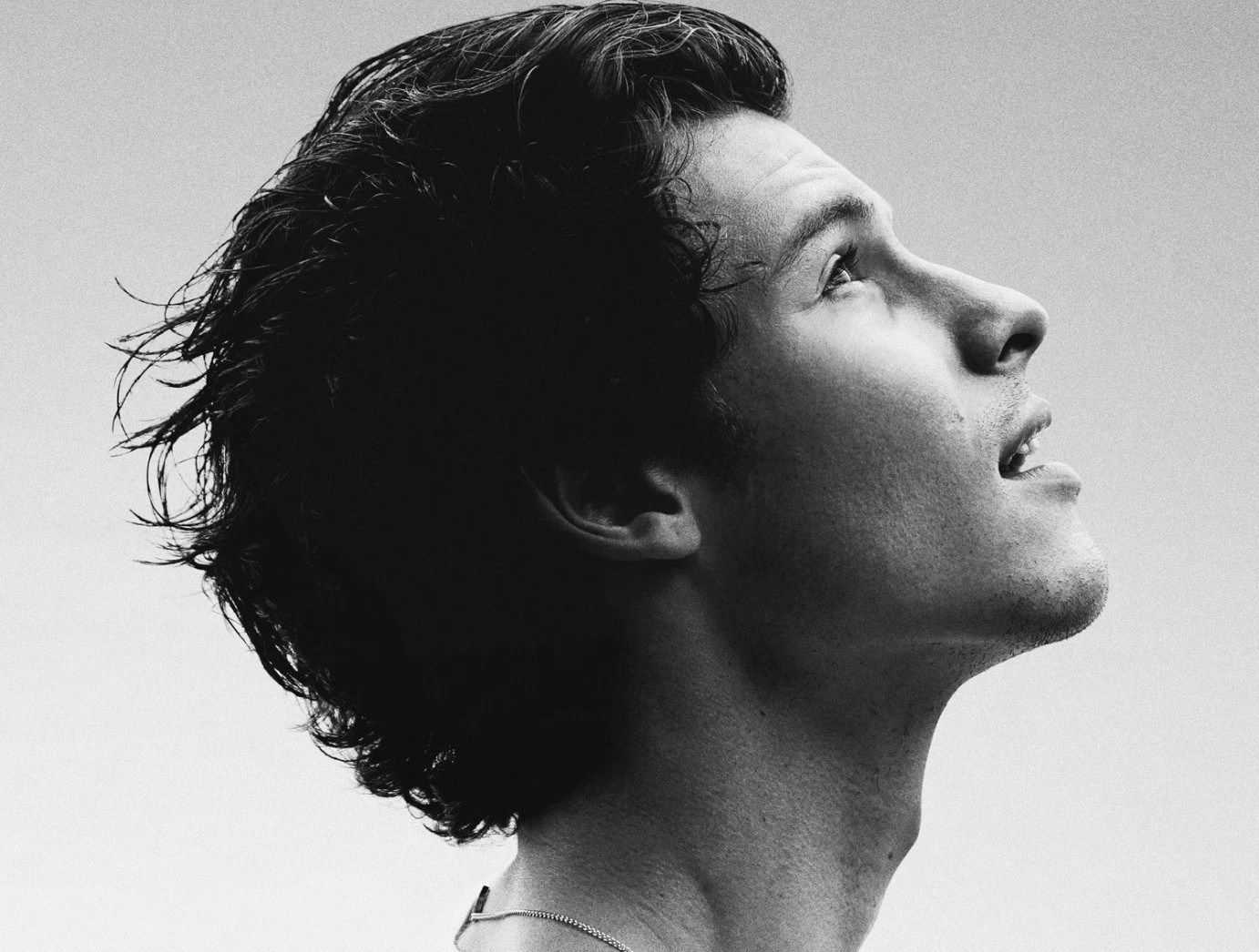 shawn mendes