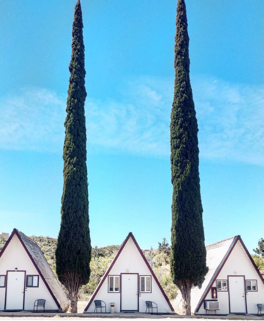 Accidentally Wes Anderson