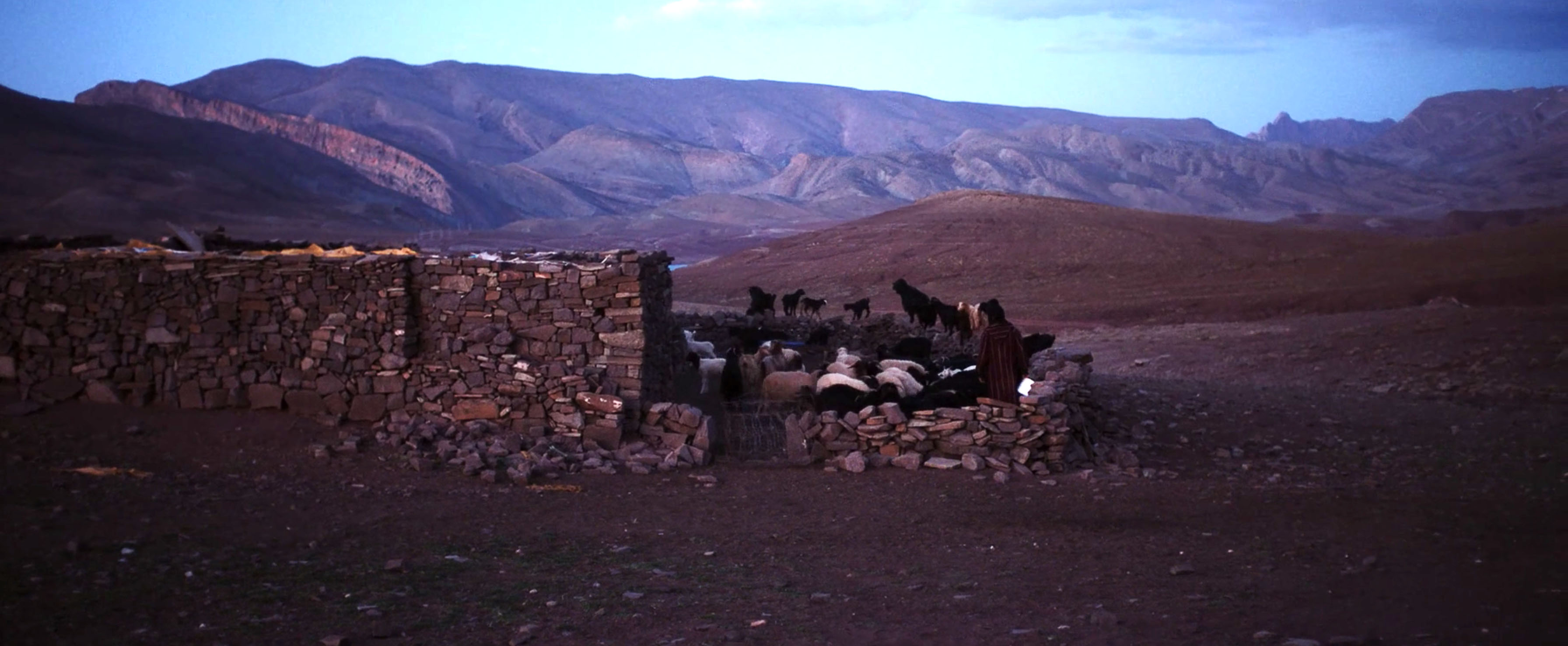 SO WHAT IF THE GOATS DIE?