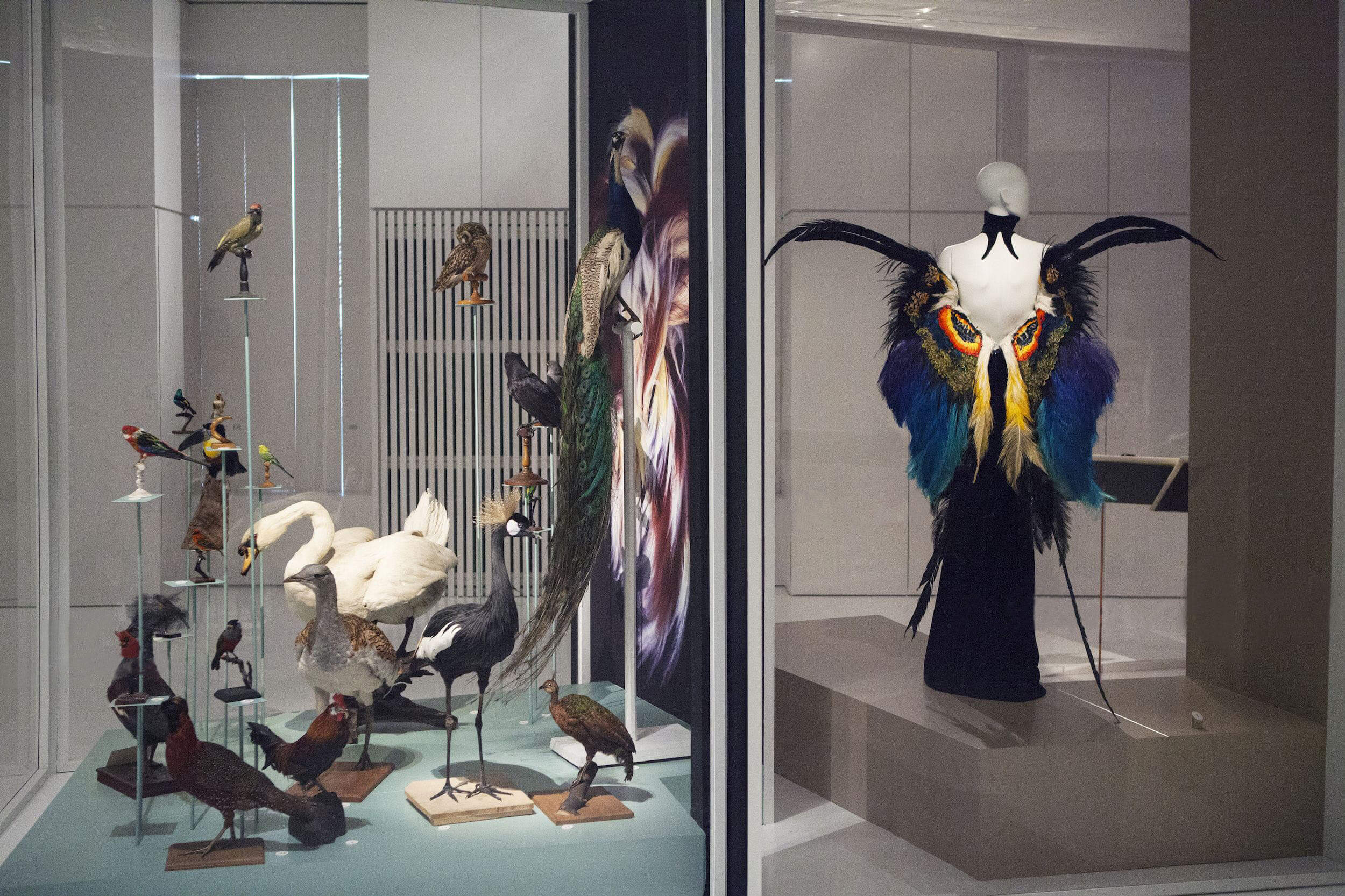 THE MODE MUSEUM RE-OPENING