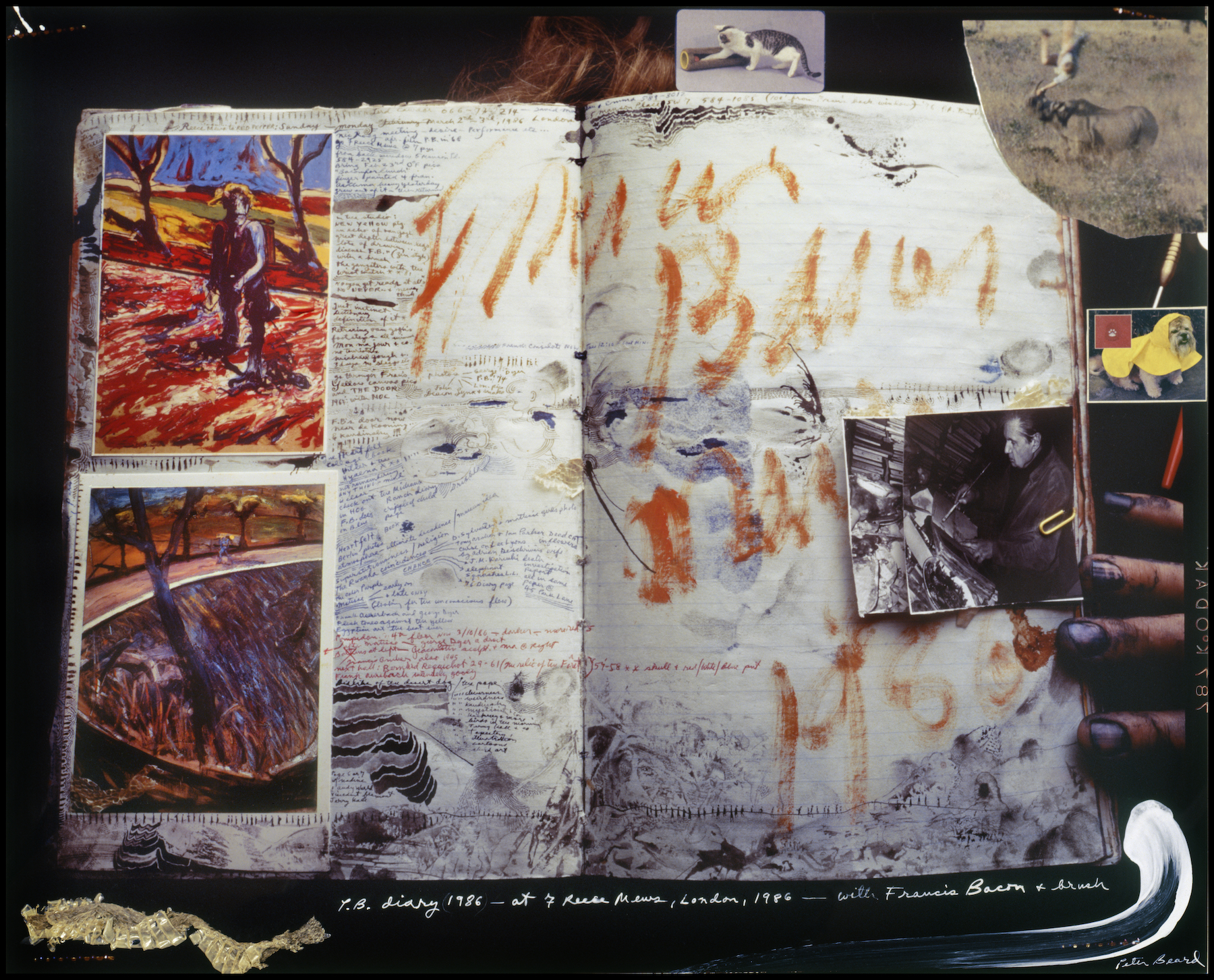 Peter Beard, P.B Diary 1986 at 7 Reece Mews, London, 1986 – with Francis Bacon + brush, 1986/1993 © The Estate of Peter Beard
