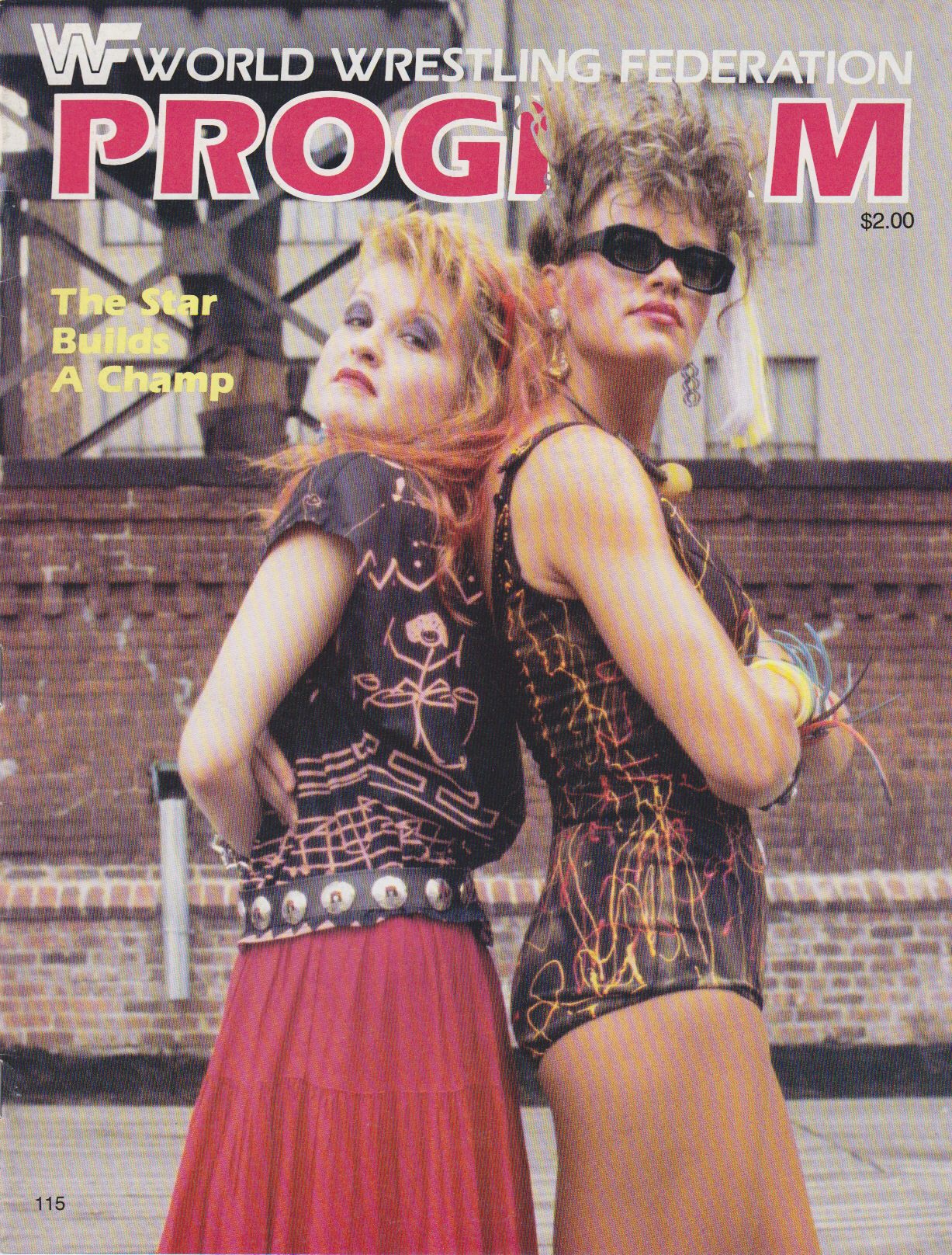 Cyndi Lauper and her wrestling champ Wendi Richter