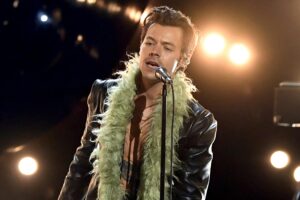 harry styles