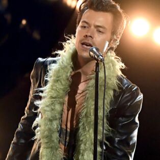 harry styles