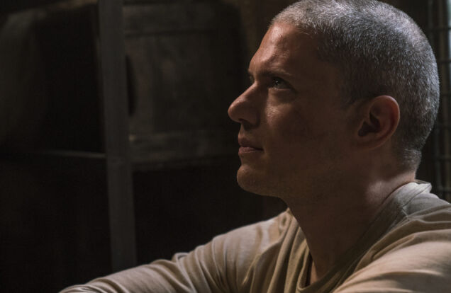 wentworth miller prison break