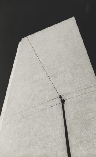 Thomaz Farkas. Ministry of Education (Ministério da Educação) [Rio de Janeiro]. c. 1945. Gelatin silver print, 12 13/16 × 11 3/4 in. (32.6 × 29.9 cm). The Museum of Modern Art, New York. Gift of the artist