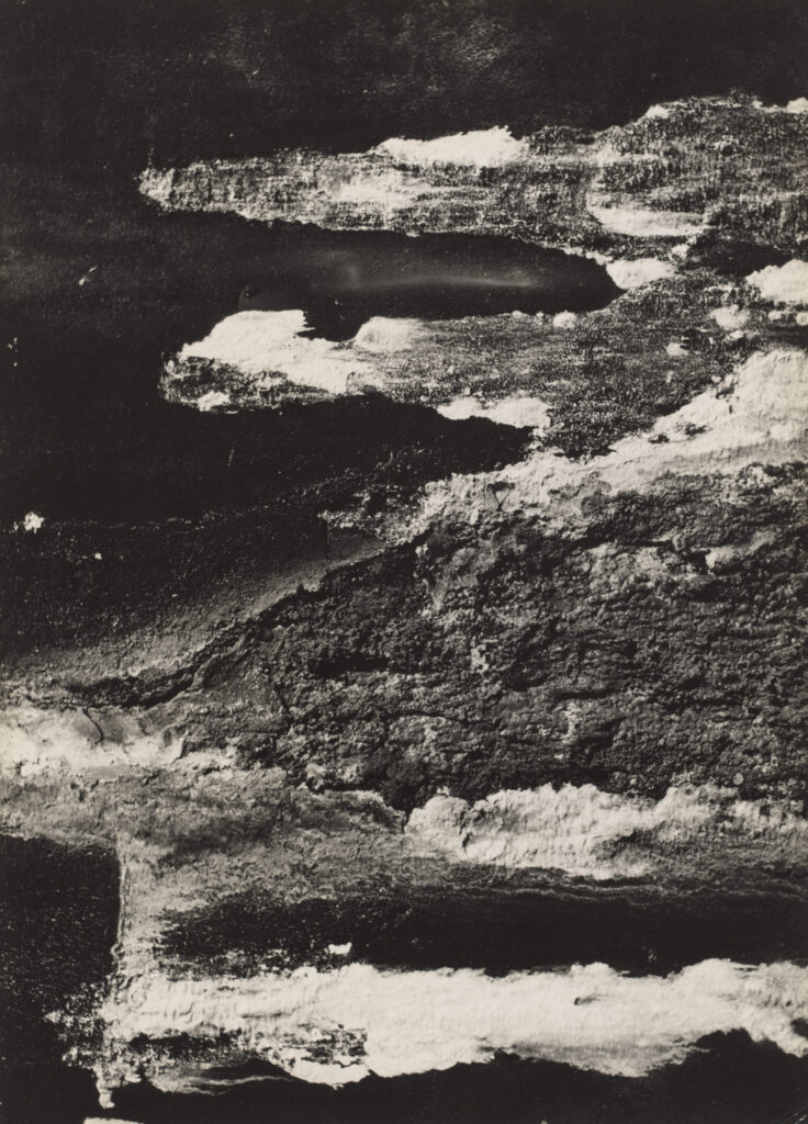 Palmira Puig-Giró. Untitled. c. 1960. Gelatin silver print, 15 3/8 × 11 1/16 in. (39.1 × 28.1 cm). The Museum of Modern Art, New York. Agnes Rindge Claflin Fund. © 2020 Estate of Palmira Puig-Giró