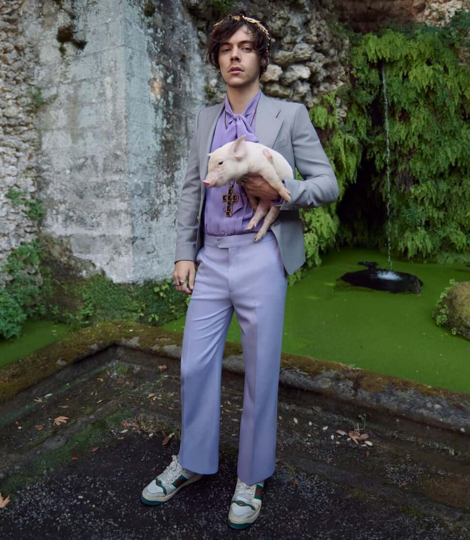 Harry Styles, Gucci
