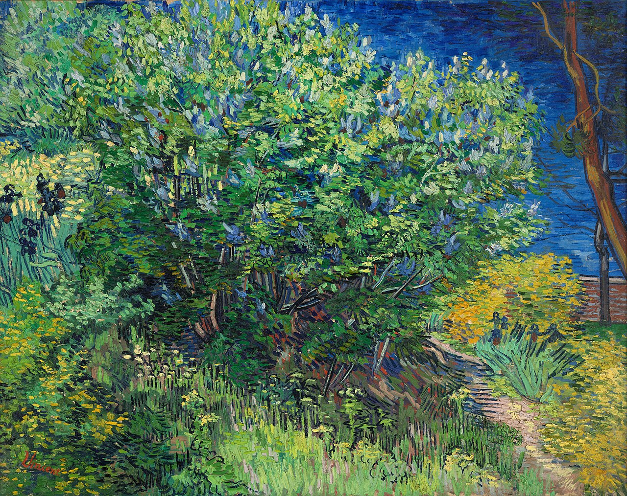 Vincent van Gogh - Lilacs (1889)