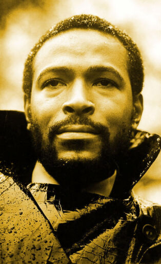 Marvin-Gaye-Album-Cover-Image-Whats-Going-on-1971