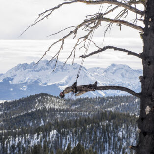 Matthew-Barney-Redoubt-Idaho-Sawtooth-Mountains