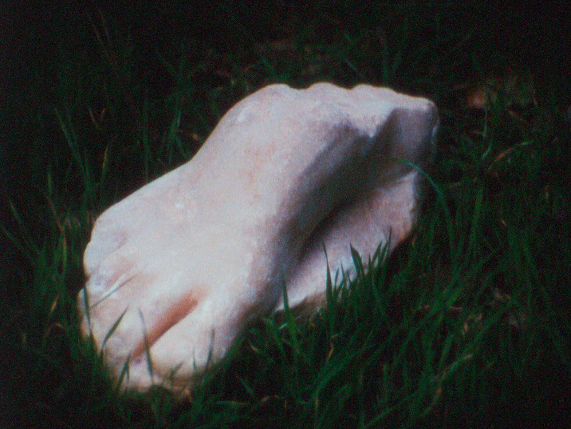 Pan Amicus, 2021 (Film still) 16mm color film, optical sound, 31 minutes, continuous loop