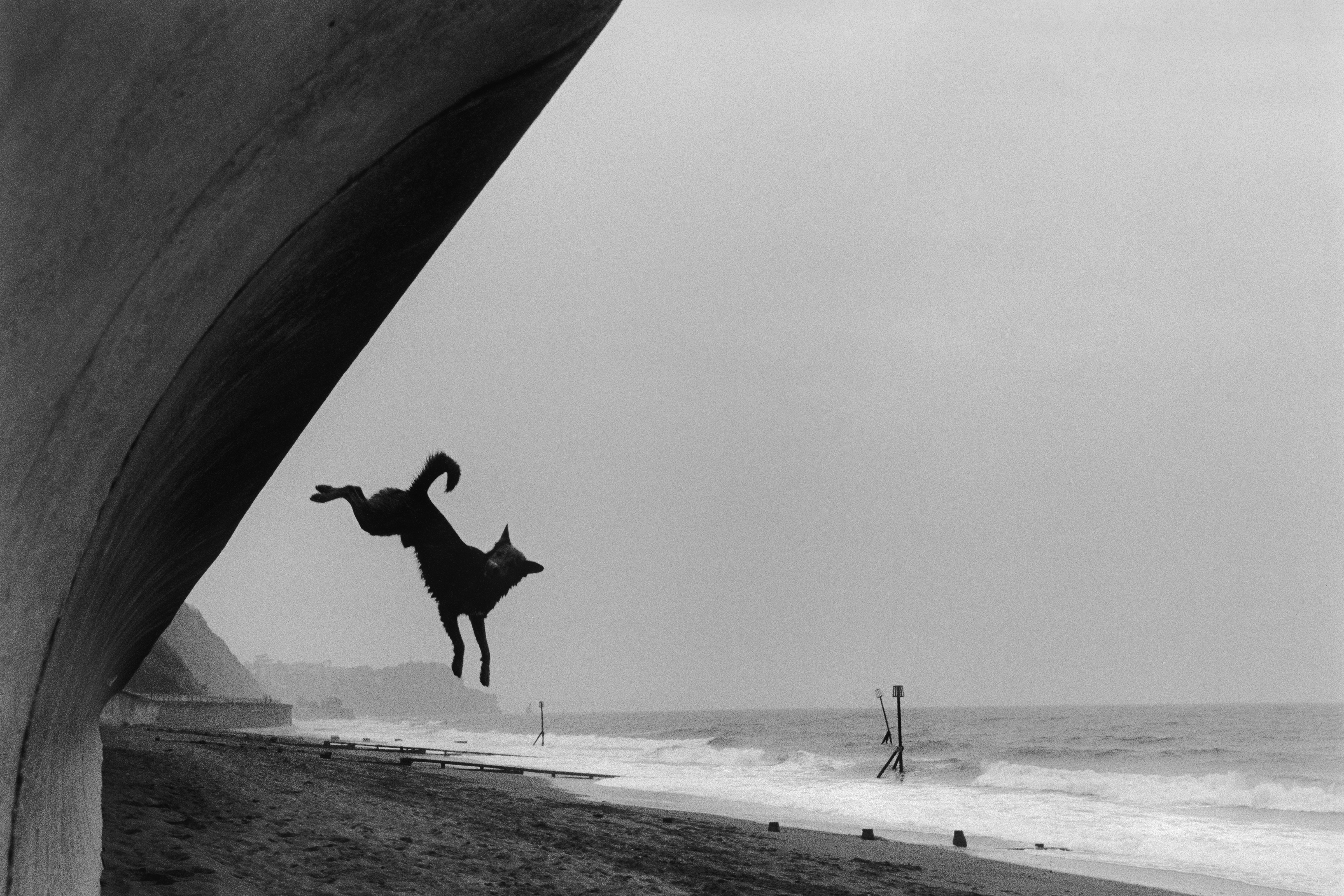 Roger A Deakins, The Joy of Flight