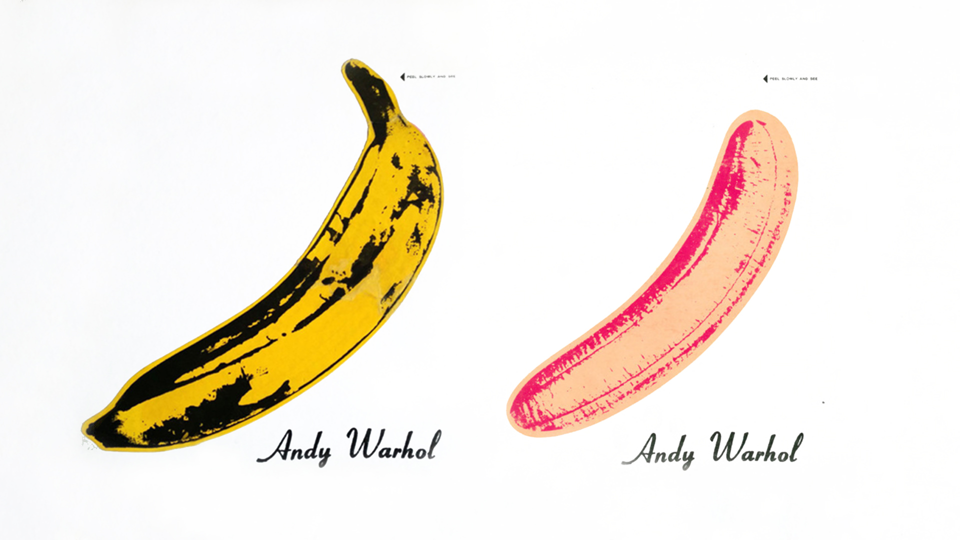 The Velvet Underground Album Cover By Andy Warhol Unpeeled and Peeled Banana