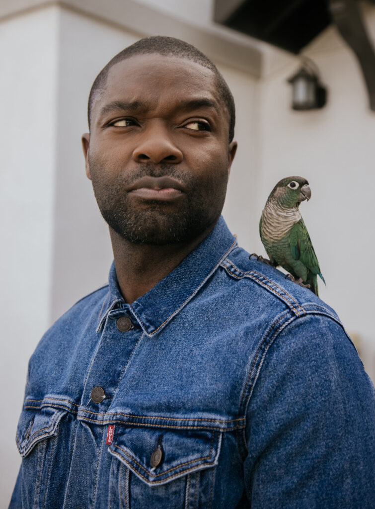 David Oyelowo with a Parakeet in Call My Agent