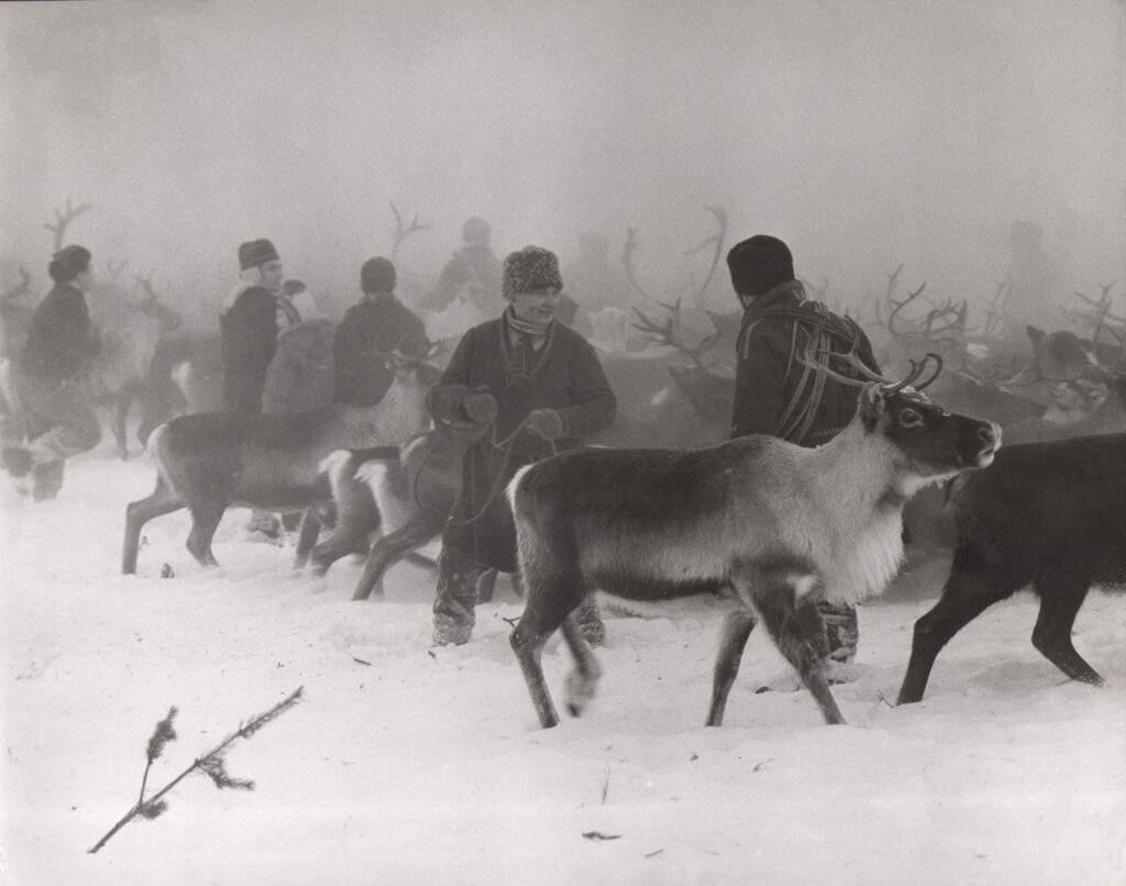 Anna Riwkin (1908-1970) Untitled c. 1950’s