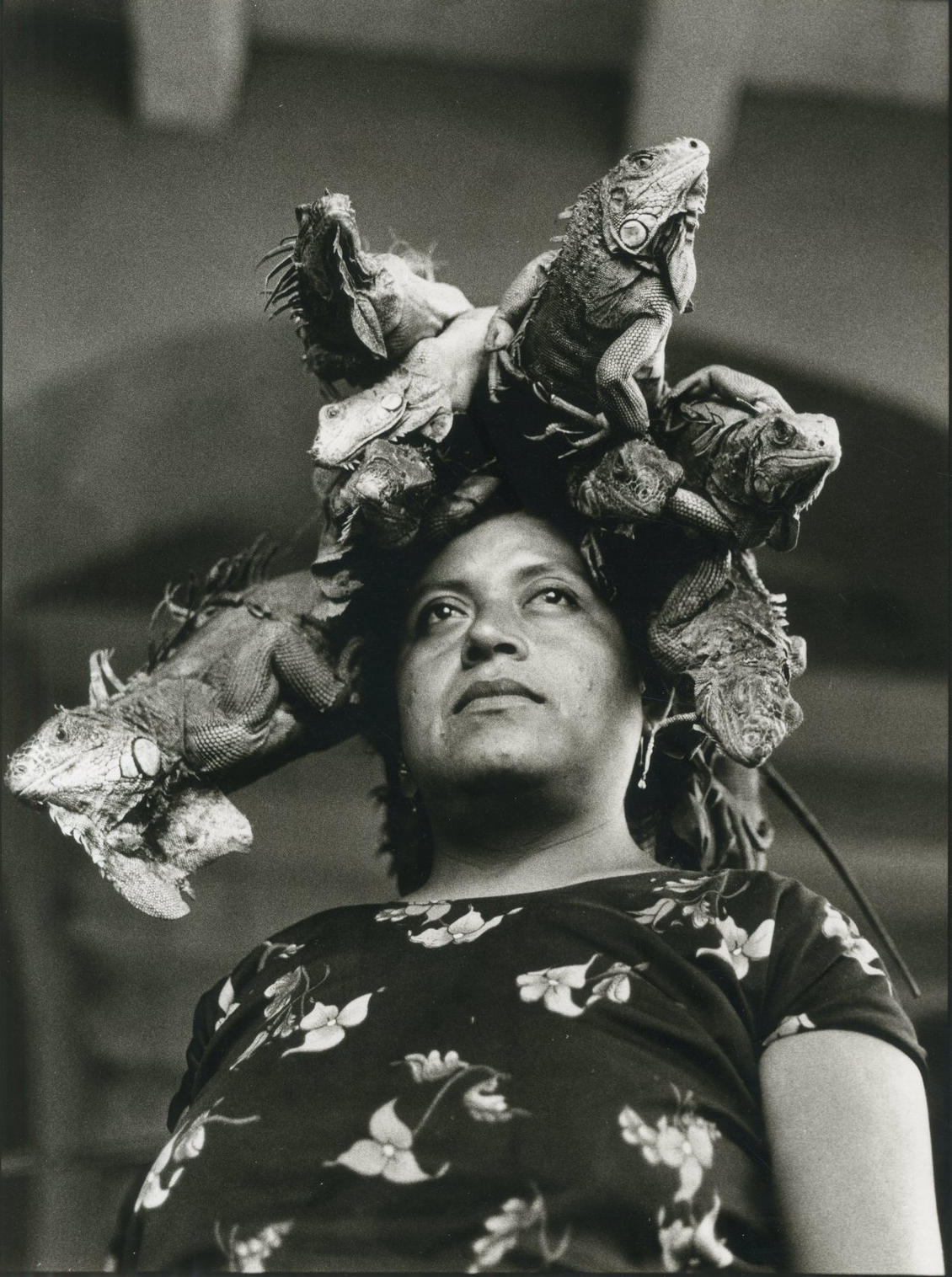 Graciela Iturbide. Our Lady of the Iguana, Juchitàn, Mexico. Throckmorton Gallery, NYC