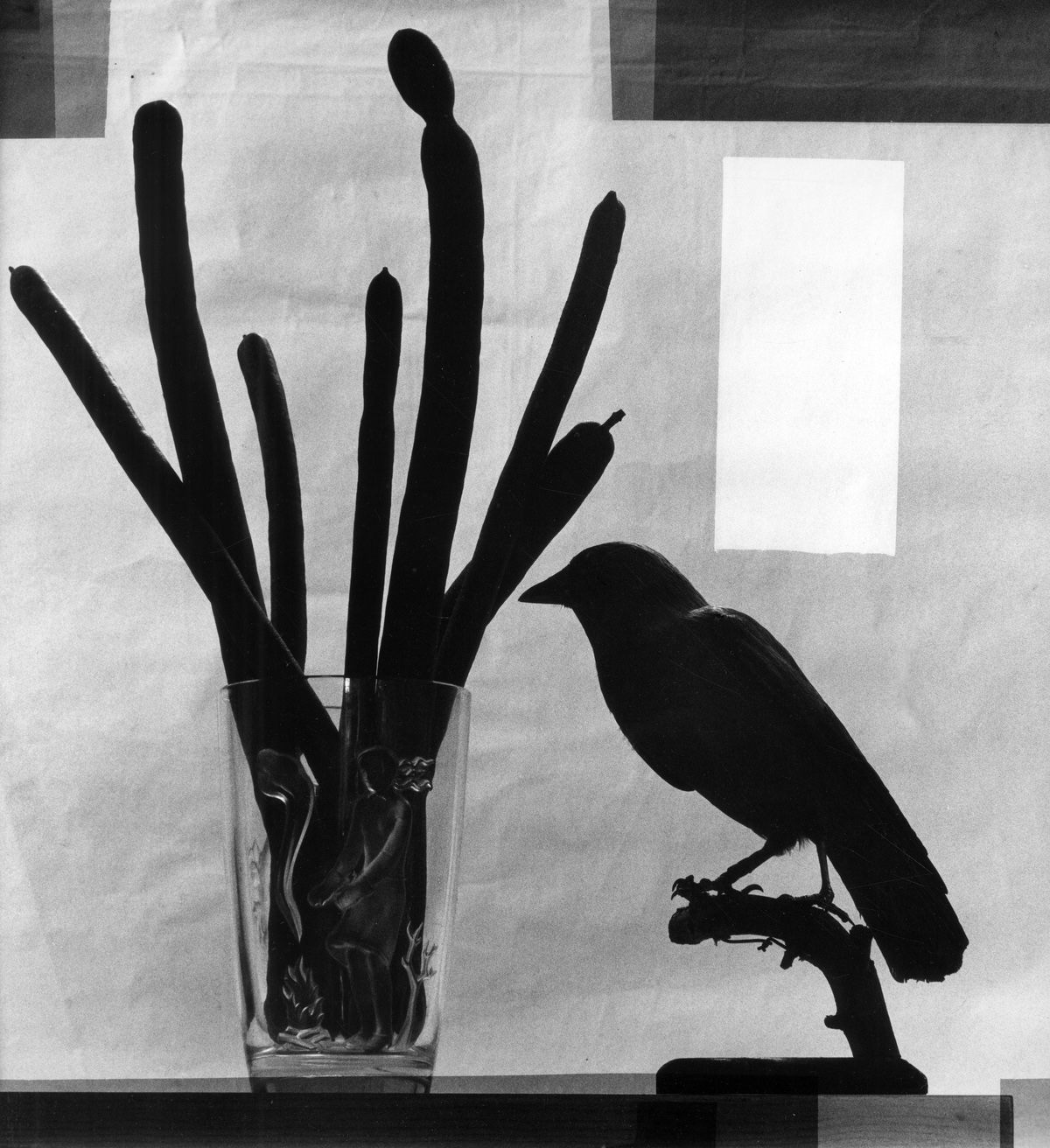 Flor Garduño. Black Crow, 2015. Throckmorton Gallery, NYC
