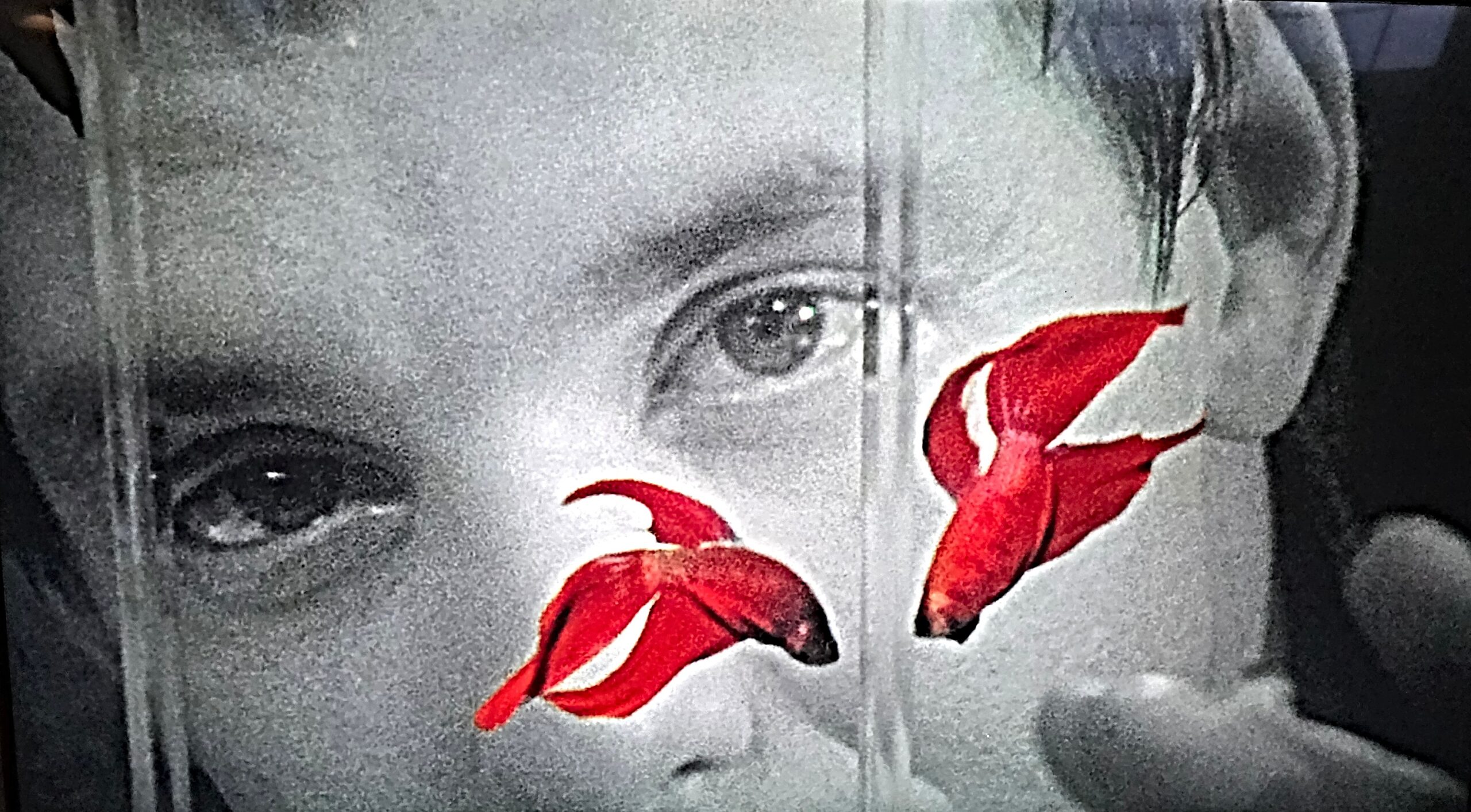 Mickey Rourke. Rumblefish