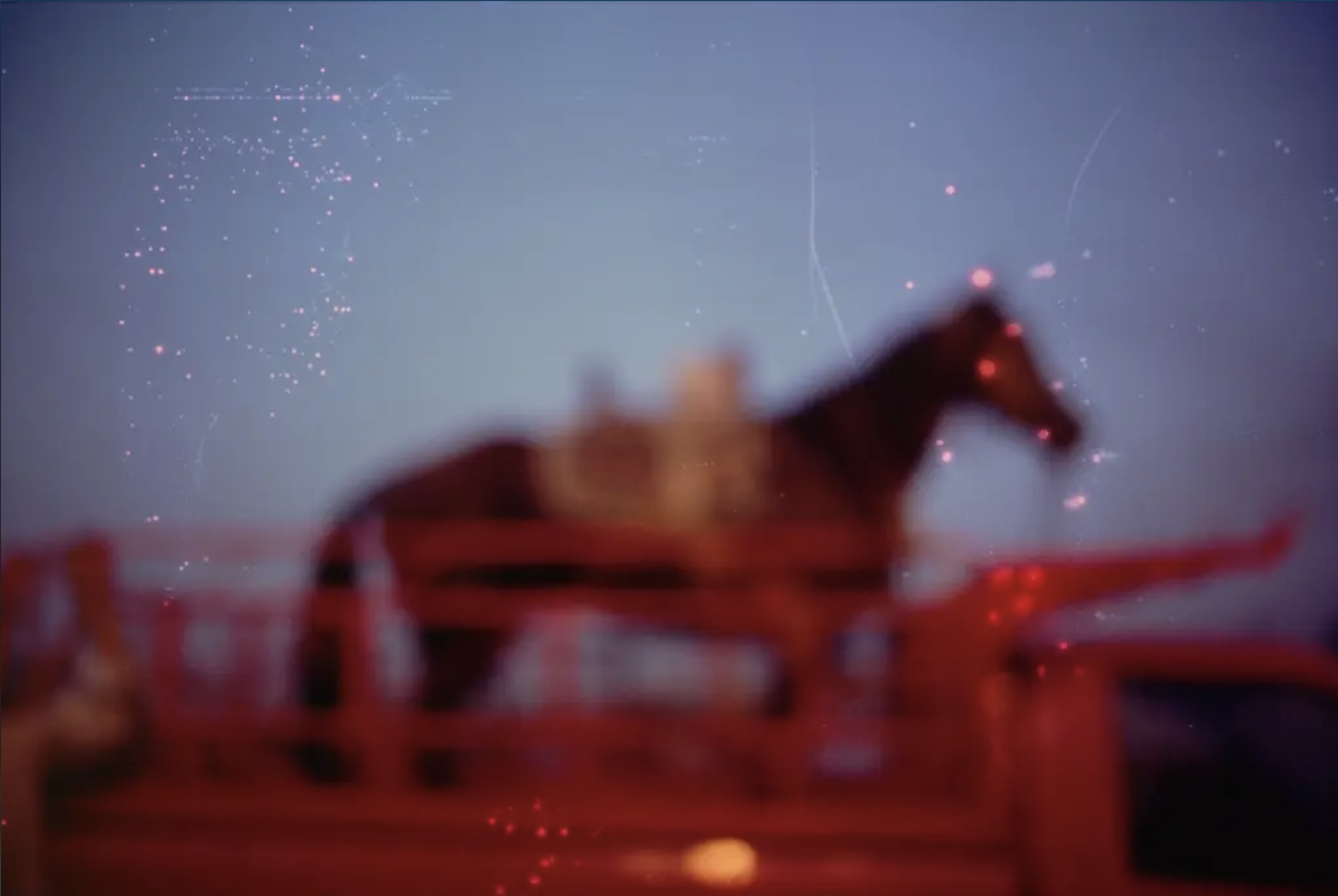 Nan Goldin, My Horse Roma Outside Luxor Egypt 2003. Courtesy of the artist