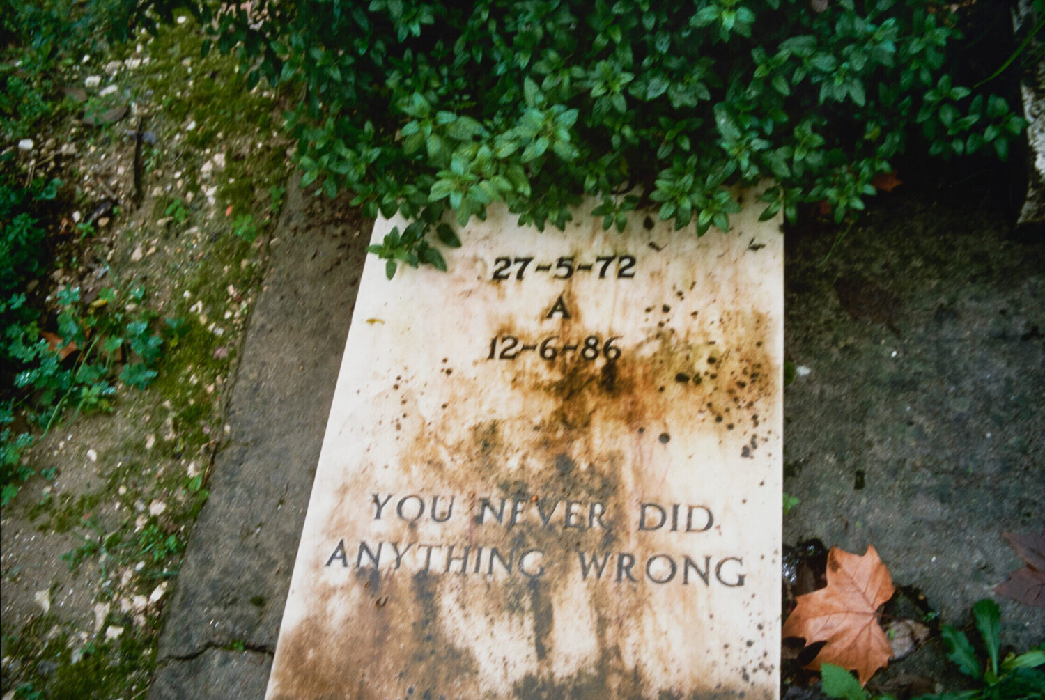 Gravestone in pet cemetery, Lisbon Nan Goldin, Gravestone in pet cemetery, Lisbon, 1998. Copyright Nan Goldin. Courtesy the artist and Gagosian